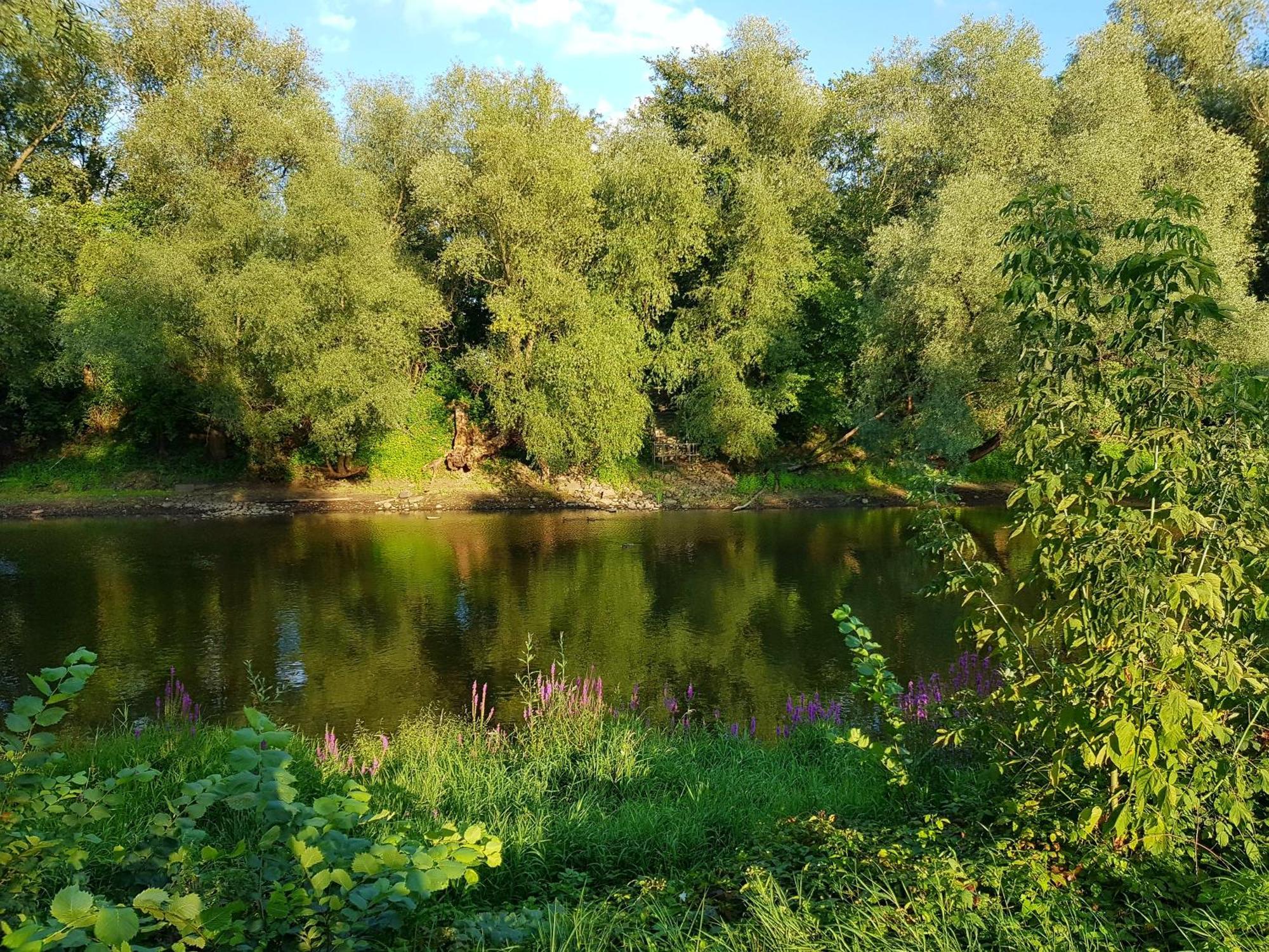 Viadrina Rooms & Apartments Frankfurt-Oder Am Park Im Zentrum Φρανκφούρτη  Εξωτερικό φωτογραφία