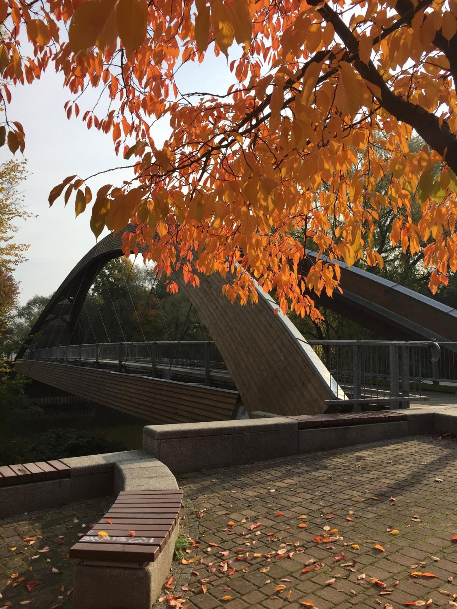 Viadrina Rooms & Apartments Frankfurt-Oder Am Park Im Zentrum Φρανκφούρτη  Εξωτερικό φωτογραφία