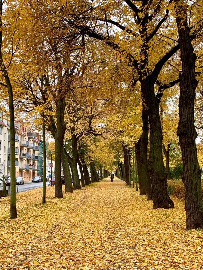 Viadrina Rooms & Apartments Frankfurt-Oder Am Park Im Zentrum Φρανκφούρτη  Εξωτερικό φωτογραφία